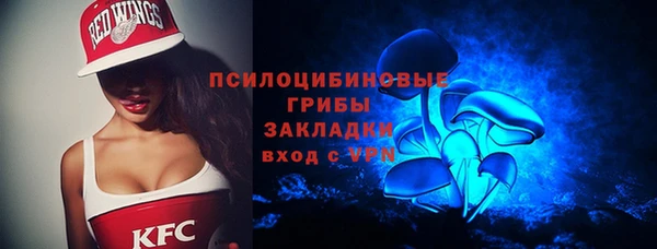 эйфоретик Белокуриха