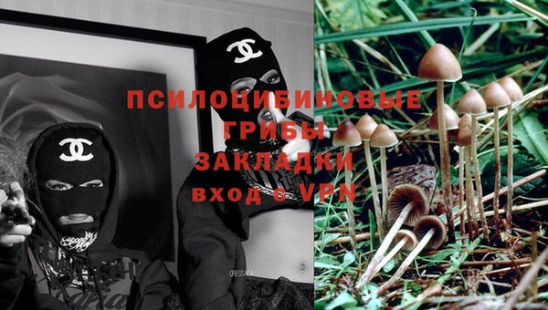 мяу мяу кристалл Беломорск