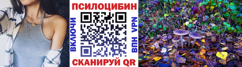 Галлюциногенные грибы мухоморы  дарк нет официальный сайт  Печора 