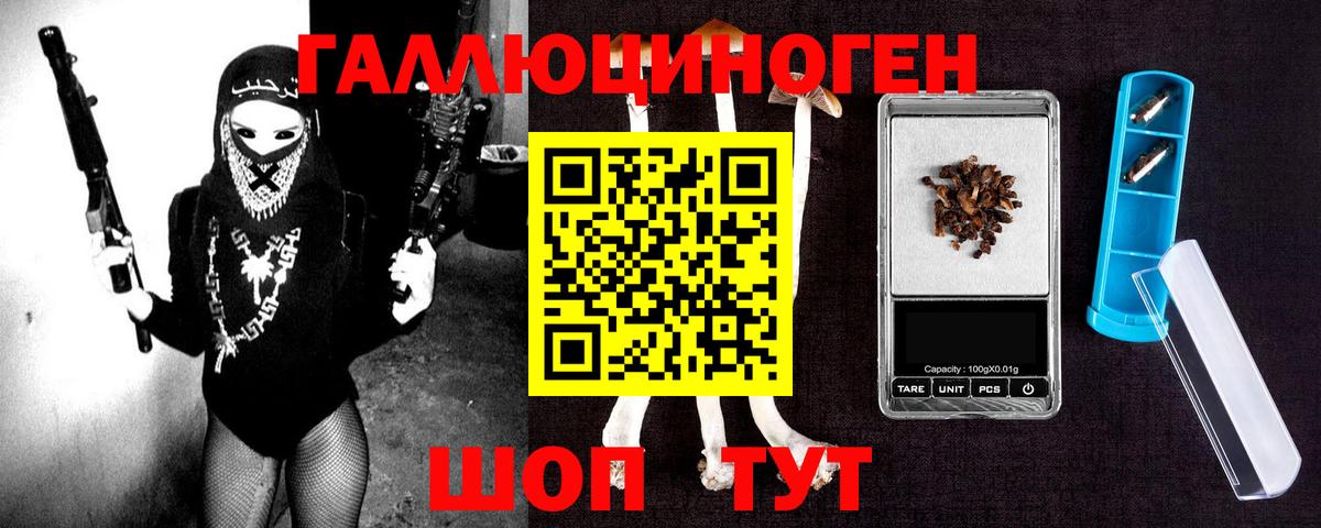 Галлюциногенные грибы Psilocybine cubensis Печора