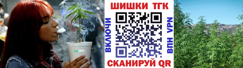Конопля ГИДРОПОН  продажа наркотиков  Печора 